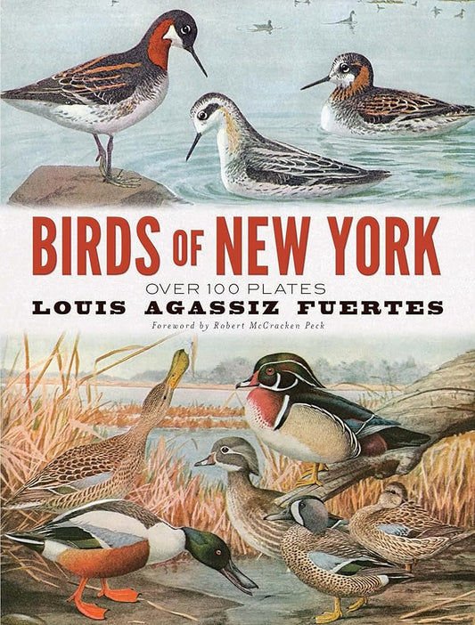 Birds of New York: Over 100 Plates cover image