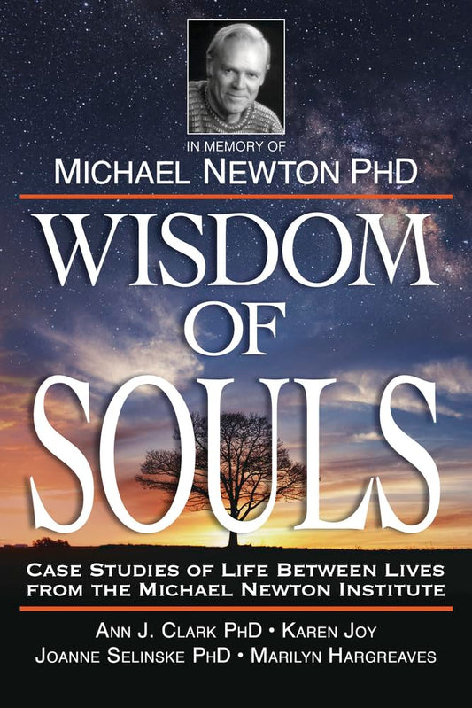 Wisdom of Souls: Case Studies of Life Between Lives From The Michael Newton Institute cover image
