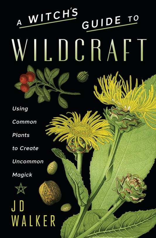 A Witch's Guide to Wildcraft: Using Common Plants to Create Uncommon Magick cover image