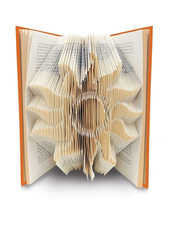 ArtFolds: Sun: Treasure Island & Other Adventures (5) (ArtFolds Classic Editions) cover image