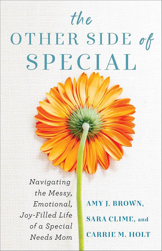 The Other Side of Special: Navigating the Messy, Emotional, Joy-Filled Life of a Special Needs Mom cover image
