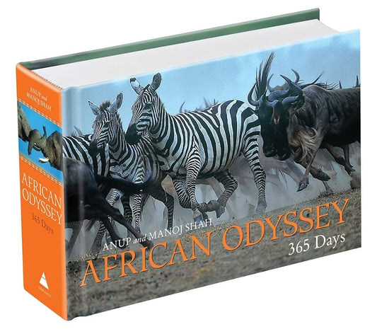 African Odyssey: 365 Days cover image