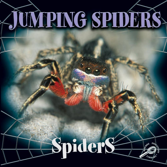Jumping Spiders (Spiders Discovery Library) cover image