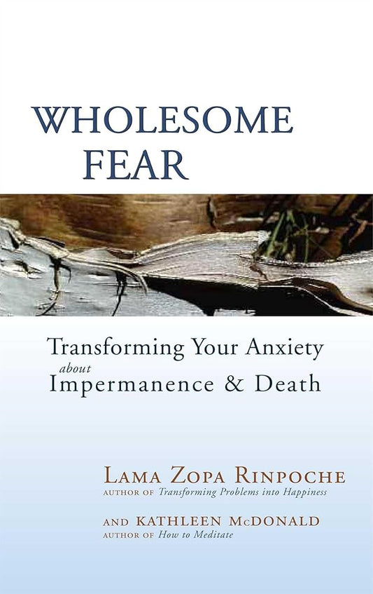 Wholesome Fear: Transforming Your Anxiety About Impermanence and Death cover image