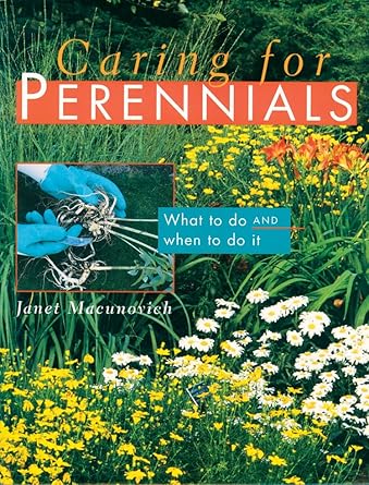 Caring for Perennials: What to Do and When to Do it cover image