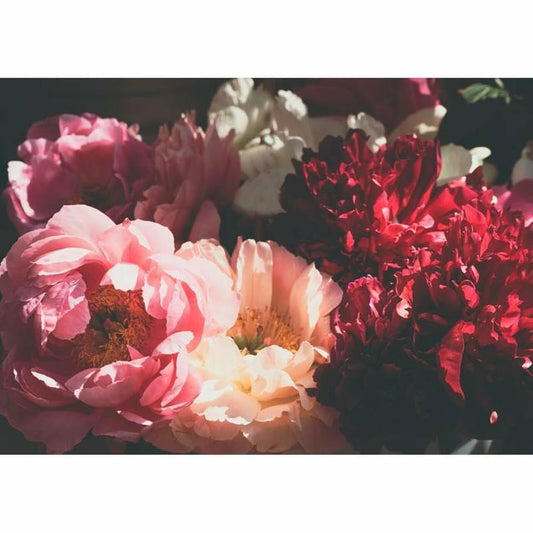 Paper Placemats cover image