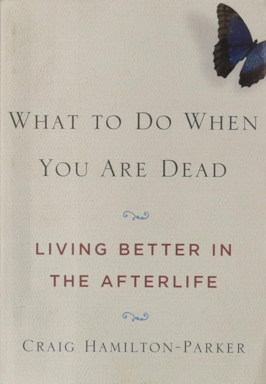 What to Do When You Are Dead: Living Better in the Afterlife cover image