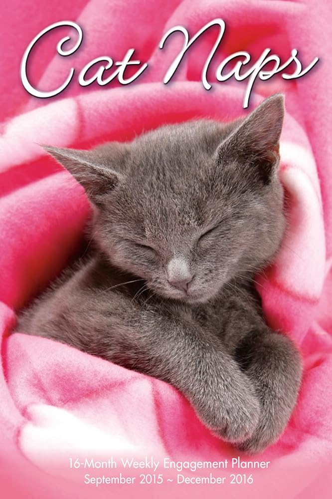 Cat Naps 2016 Engagement Calendar cover image
