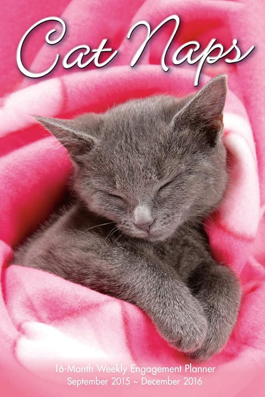 Cat Naps 2016 Engagement Calendar cover image
