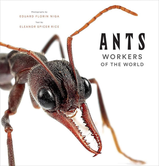 Ants: Workers of the World cover image