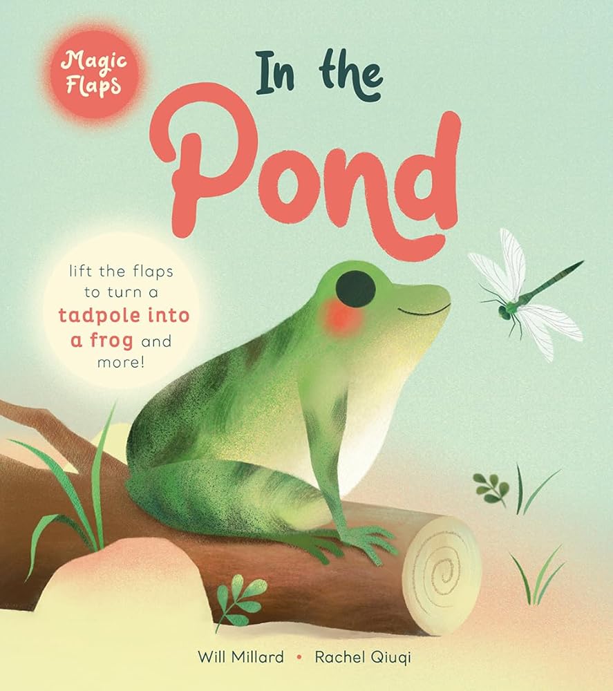 In the Pond: A Magic Flaps Book cover image
