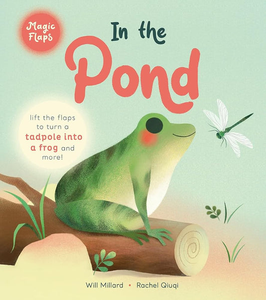 In the Pond: A Magic Flaps Book cover image