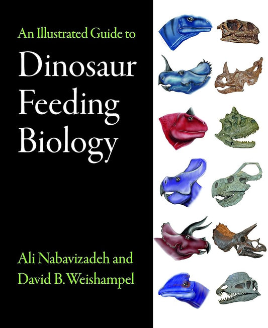 An Illustrated Guide to Dinosaur Feeding Biology cover image