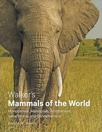 Walker's Mammals of the World: Monotremes, Marsupials, Afrotherians, Xenarthrans, and Sundatherians cover image