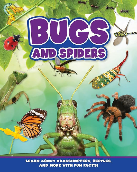 Bugs and Spiders cover image
