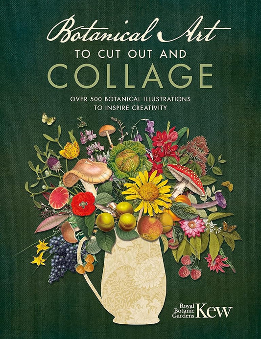 Botanical Art to Cut Out and Collage: Over 500 botanical illustrations to inspire creativity cover image