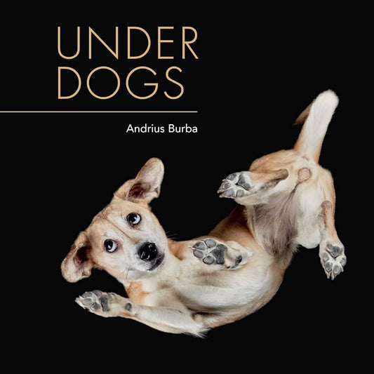 Under Dogs cover image