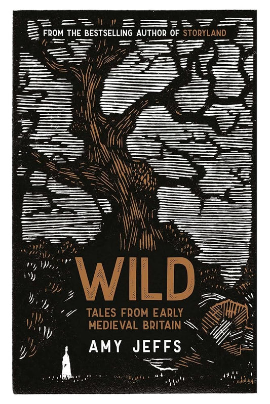 Wild: Tales from Early Medieval Britain cover image