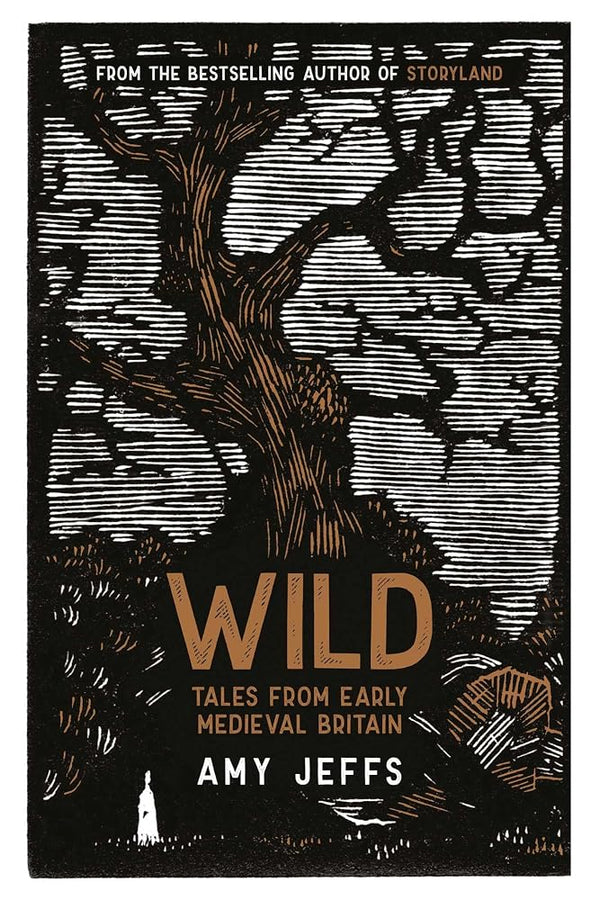 Wild: Tales from Early Medieval Britain cover image