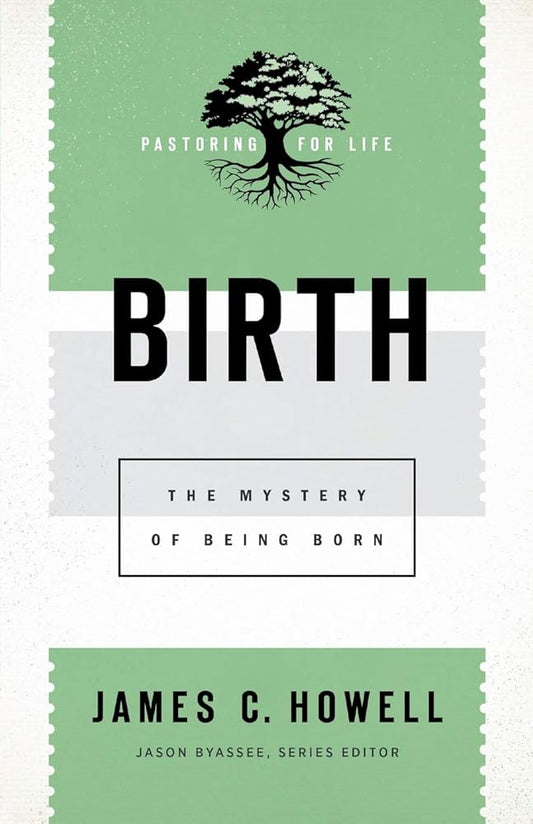 Birth: The Mystery of Being Born (Pastoring for Life: Theological Wisdom for Ministering Well) cover image