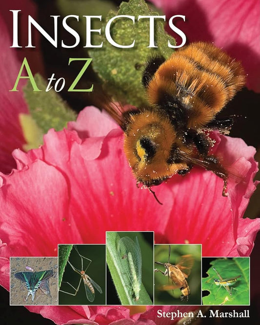 Insects A to Z (A to Z (Firefly Books)) cover image