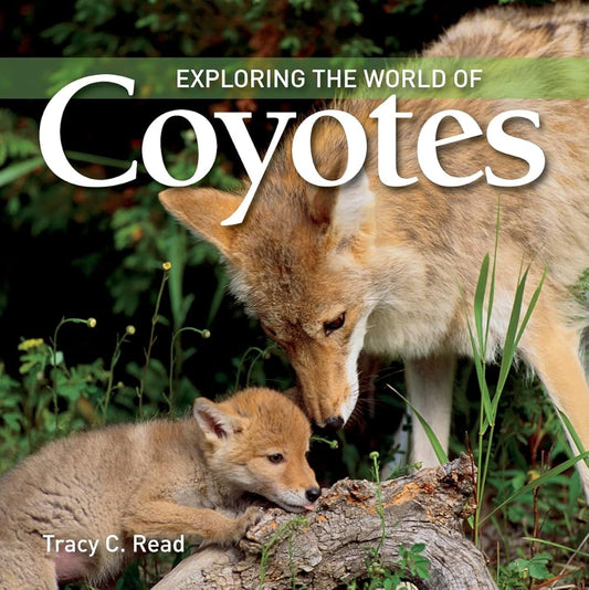 Exploring the World of Coyotes cover image
