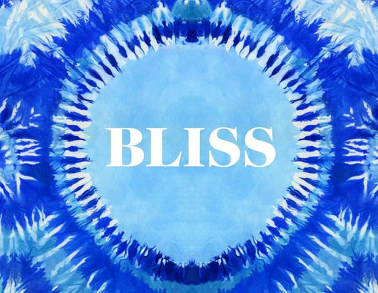 Bliss: Transformational Festivals & the Neo Hippie cover image