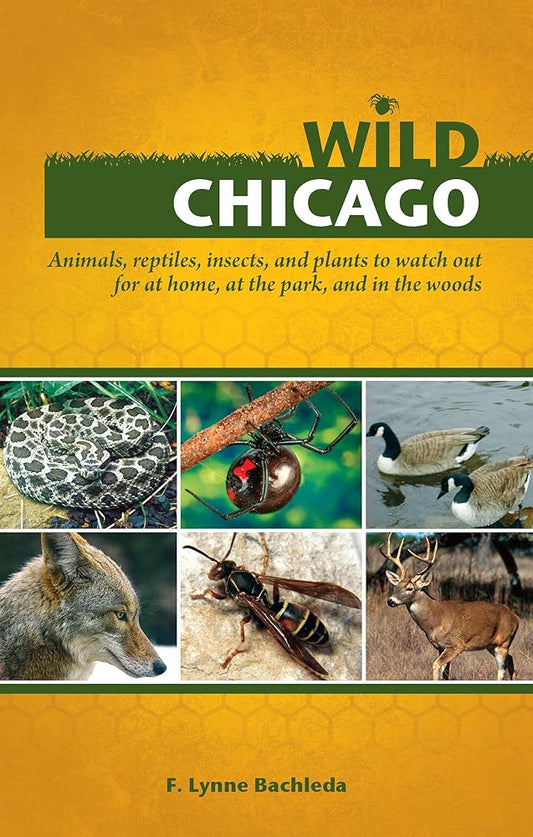Wild Chicago: Animals, Reptiles, Insects, and Plants to Watch Out for at Home, at the Park, and in the Woods cover image