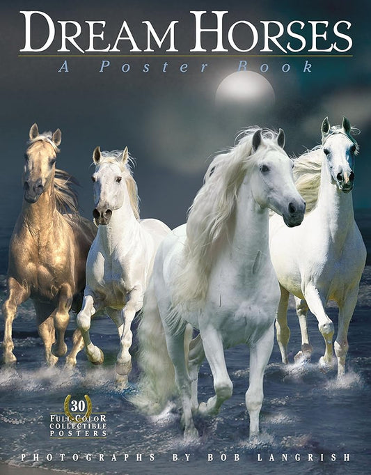 Dream Horses: A Poster Book cover image