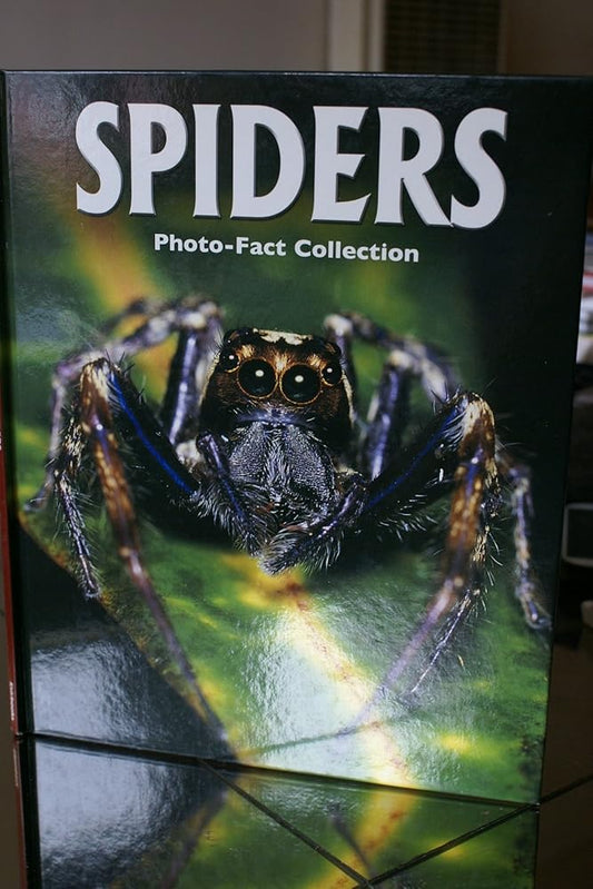 Spiders (Photo-Fact Collection Series) cover image