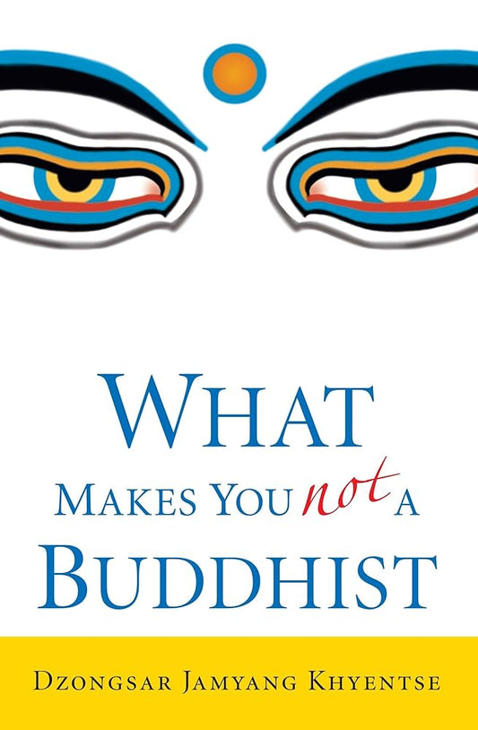 What Makes You Not a Buddhist cover image