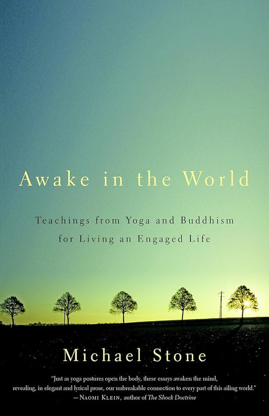 Awake in the World: Teachings from Yoga and Buddhism for Living an Engaged Life cover image