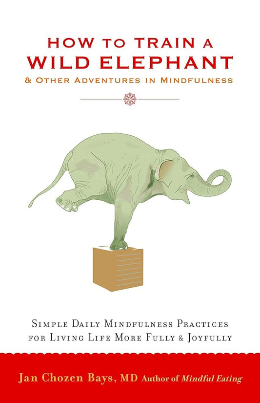 How to Train a Wild Elephant: And Other Adventures in Mindfulness cover image