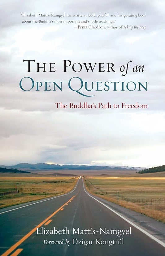 The Power of an Open Question: The Buddha's Path to Freedom cover image