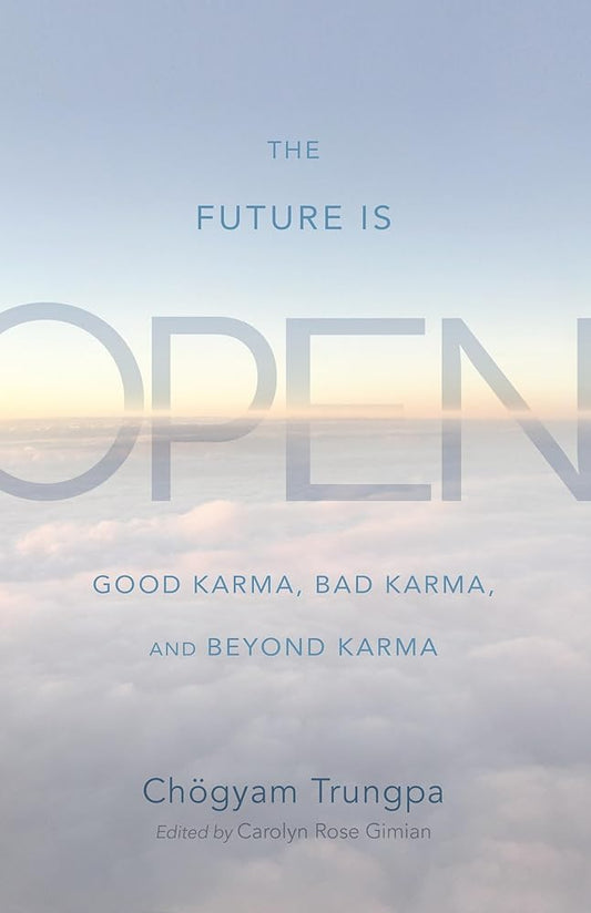 The Future Is Open: Good Karma, Bad Karma, and Beyond Karma cover image