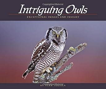 Intriguing Owls: Exceptional Images and Insight (Wildlife Appreciation) cover image