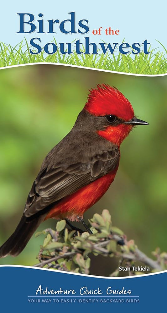 Birds of the Southwest: Your Way to Easily Identify Backyard Birds (Adventure Quick Guides) cover image