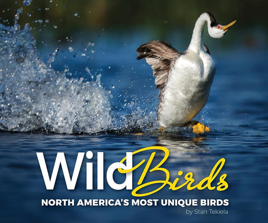 Wild Birds: North America's Most Unique Birds (Wildlife Appreciation) cover image