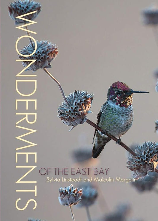 Wonderments of the East Bay cover image
