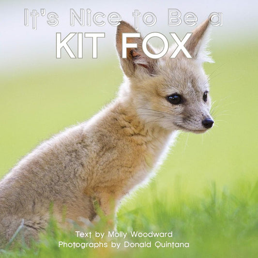 It's Nice to Be a Kit Fox cover image