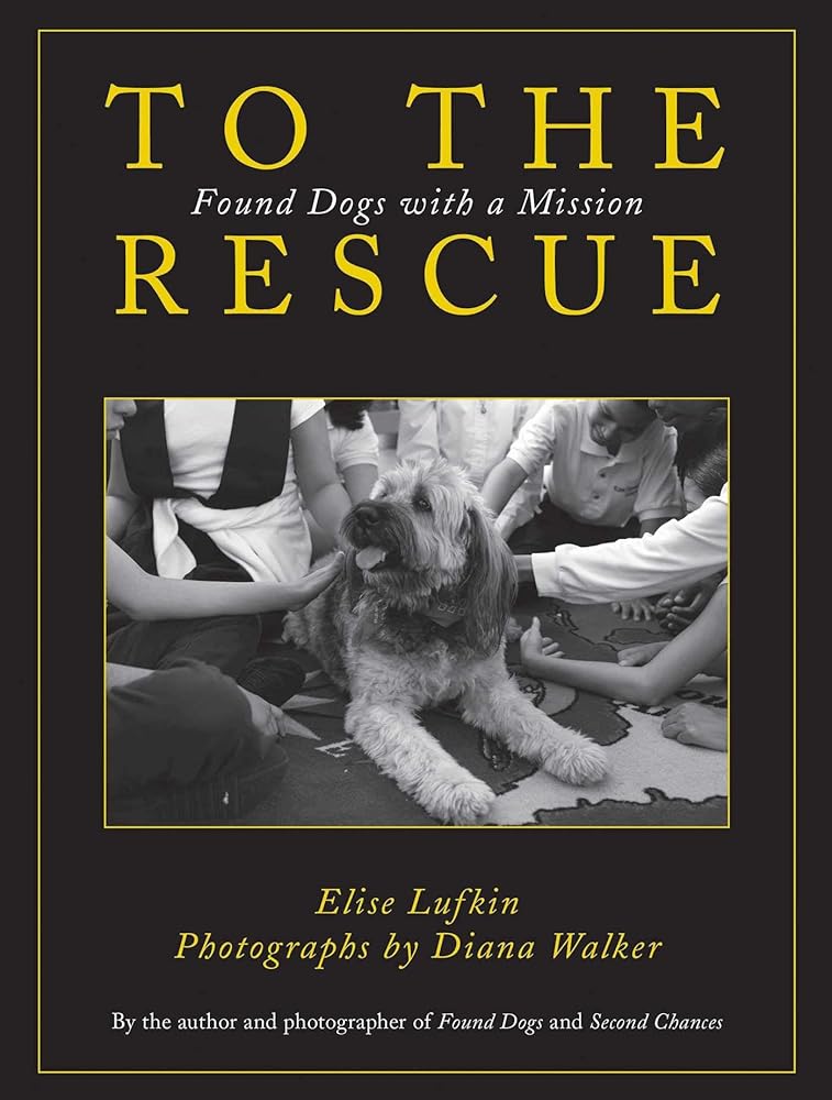 To the Rescue: Found Dogs with a Mission cover image