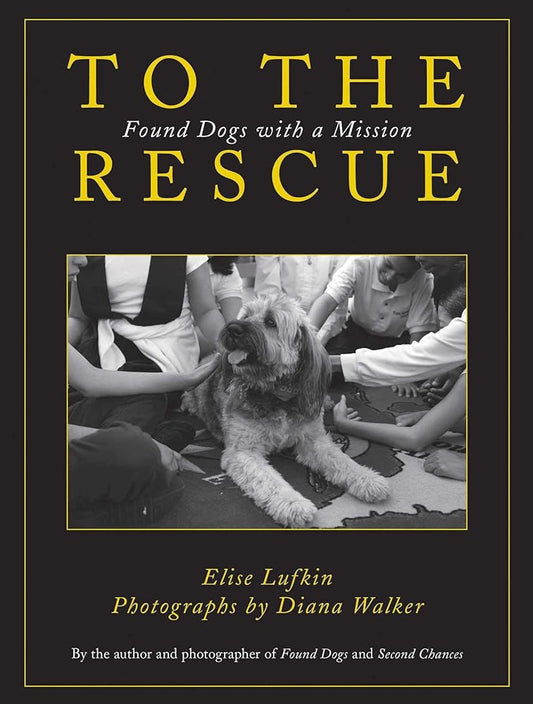 To the Rescue: Found Dogs with a Mission cover image