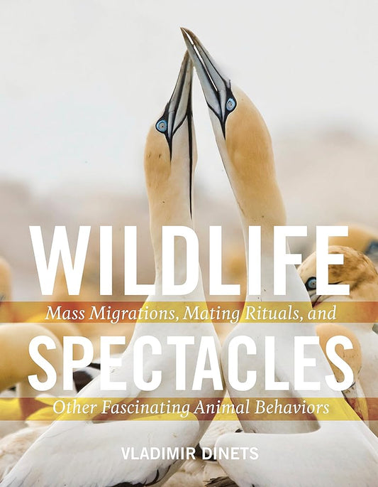 Wildlife Spectacles: Mass Migrations, Mating Rituals, and Other Fascinating Animal Behaviors cover image