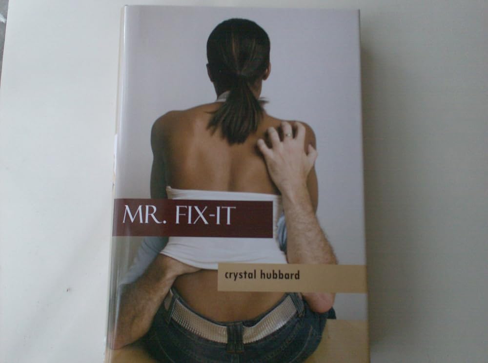 Mr. Fix-it cover image