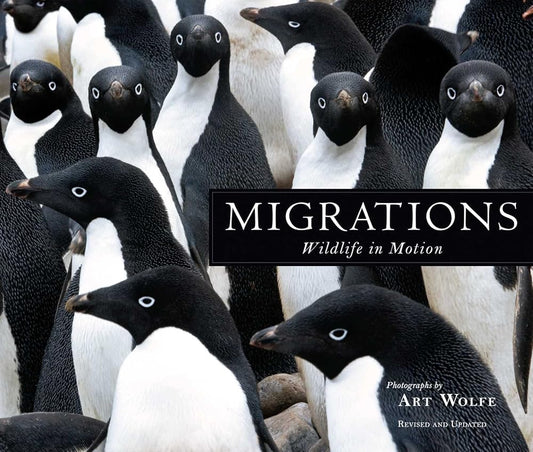 Migrations: Wildlife in Motion cover image