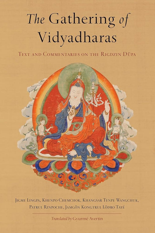 The Gathering of Vidyadharas: Text and Commentaries on the Rigdzin Düpa cover image