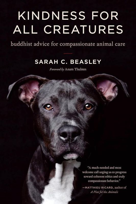 Kindness for All Creatures: Buddhist Advice for Compassionate Animal Care cover image
