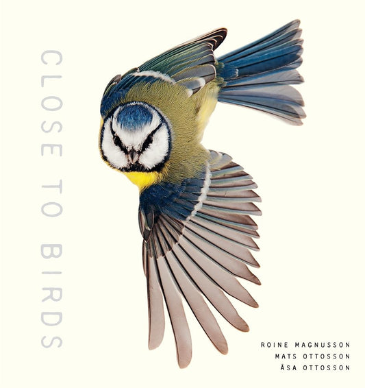 Close to Birds: An Intimate Look at Our Feathered Friends cover image