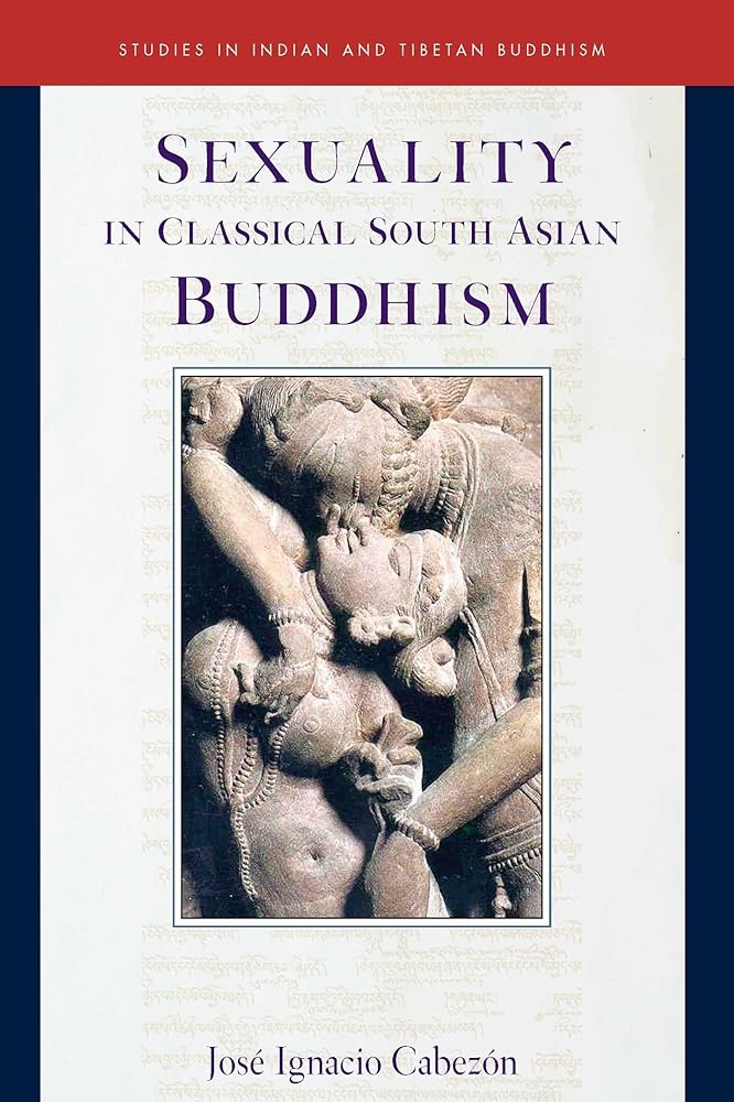 Sexuality in Classical South Asian Buddhism (20) (Studies in Indian and Tibetan Buddhism) cover image