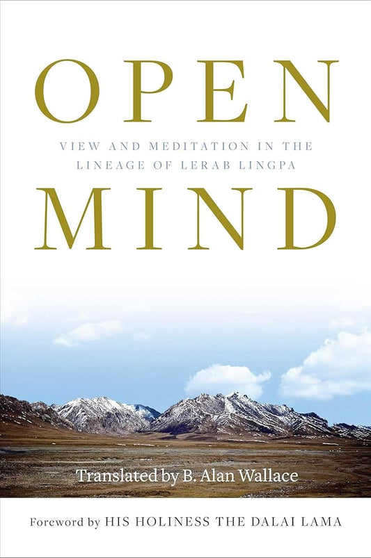 Open Mind: View and Meditation in the Lineage of Lerab Lingpa cover image